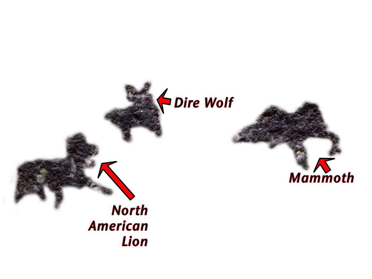 labelled view of artifact showing Pleistocene animals from North America