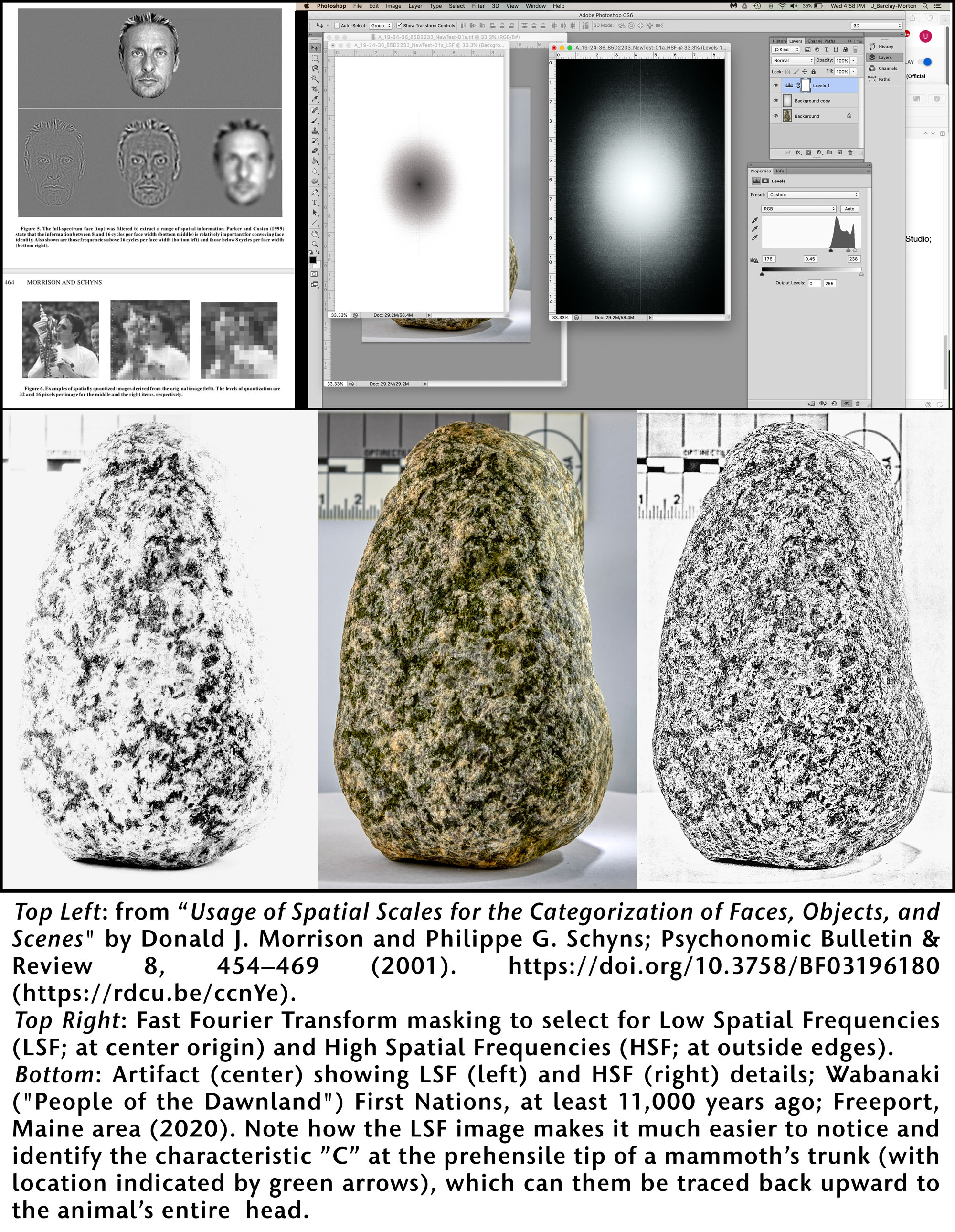 procedural methodology for distinguishing image areas using spatial frequencies reveals the image of a mammoth