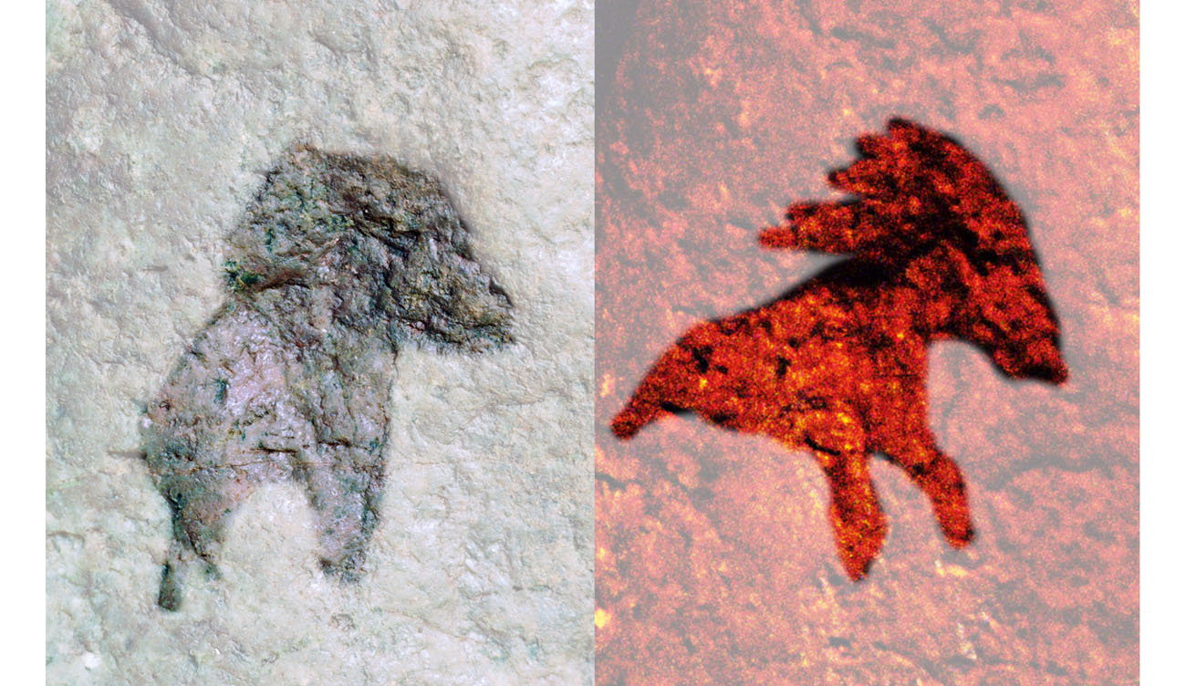 selected details of a horse image, as seen by firelight