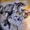 cave paintings from Chauvet-Pont d’Arc, France